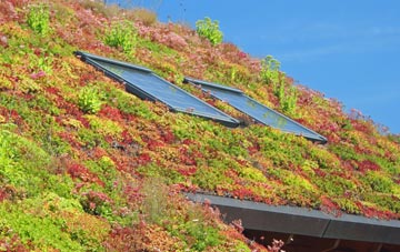Box living roof systems