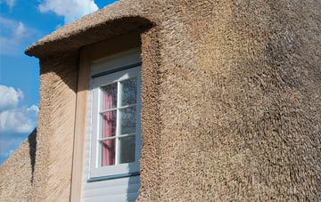 Box thatch roof disadvantages