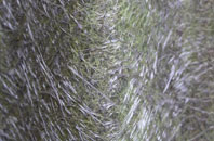 Box fibreglass roof work